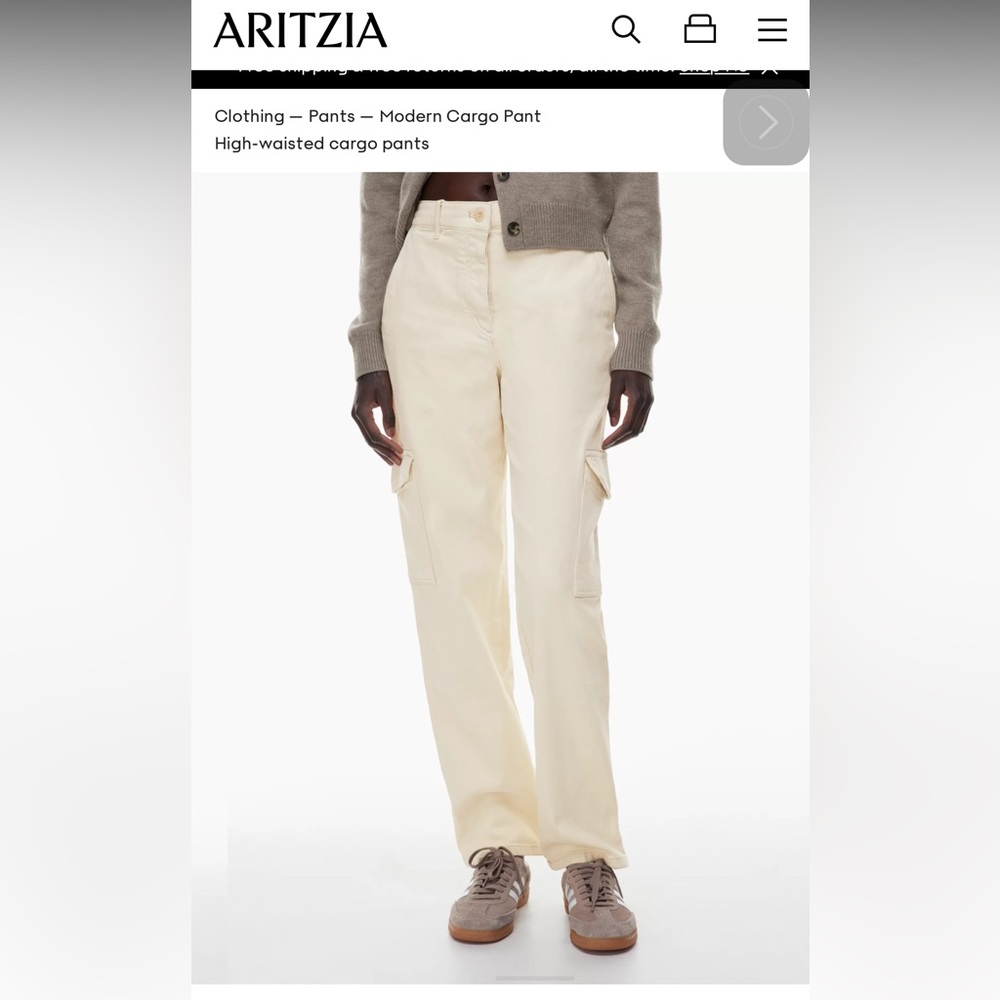Aritzia Modern Cargo Pants
